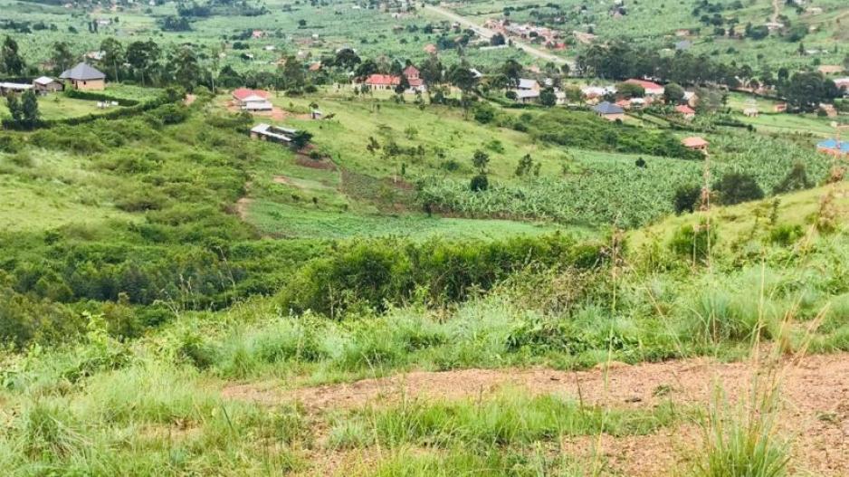 beyichini_katojo_estate