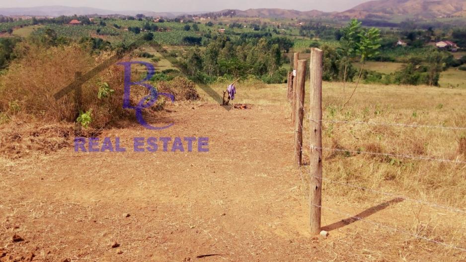 kaberebere_kiddawalime_plots